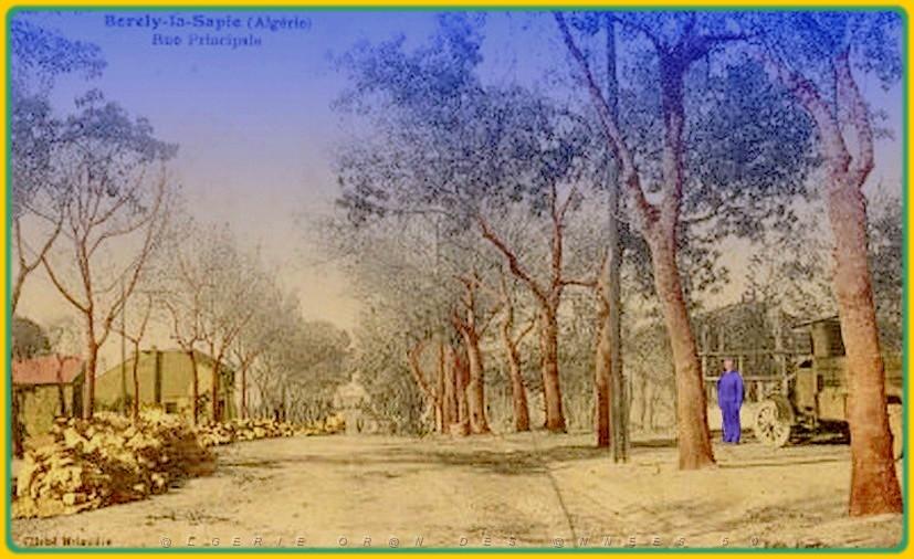 BORELY-LA-SAPIE   Rue Principale.jpg